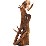Amtra Thai Orchid Holz