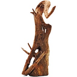 Amtra Thai Orchid Holz - S