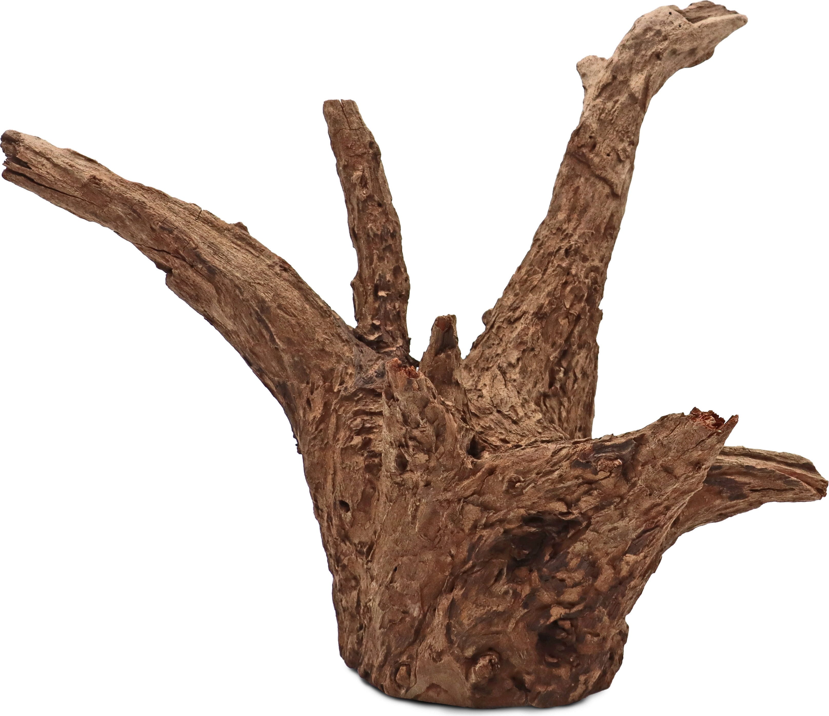 Amtra Thai Orchid Holz - M
