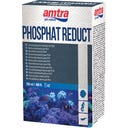Amtra Phosphat Reduct - 250 ml