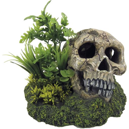 Amtra Totenschädel mit Pflanze - 1 Stk