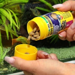 JBL PRONOVO CORYDORAS TAB M - 100 ml