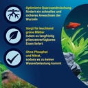 Tetra Complete Bodengrund