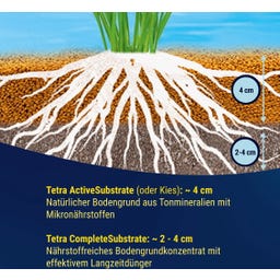 Tetra Complete Bodengrund