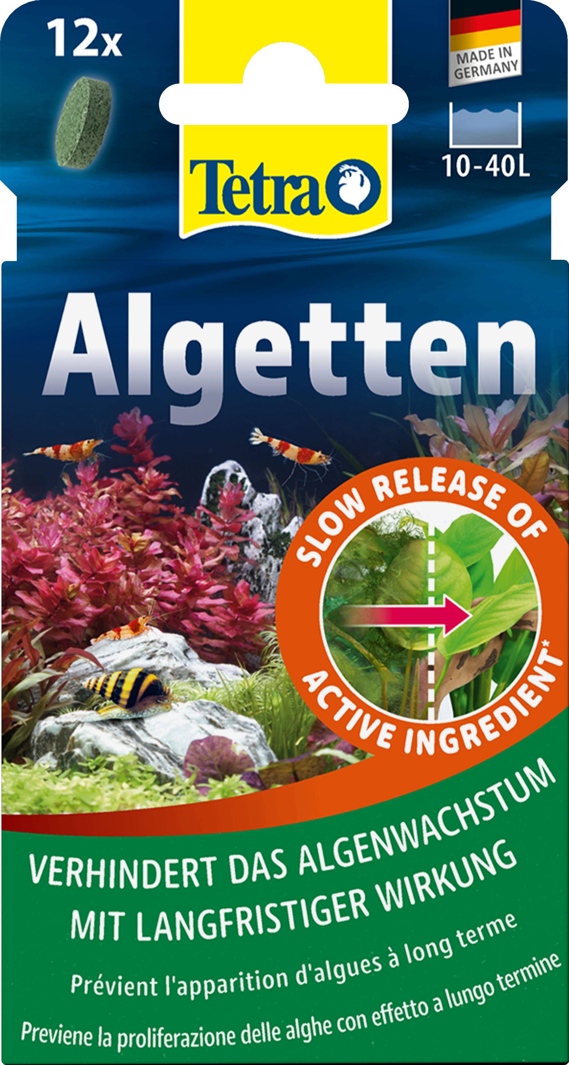Tetra Algetten - 12 Stück