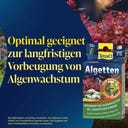 Tetra Algetten - 12 Stk