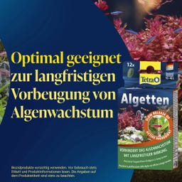 Tetra Algetten - 12 Stk