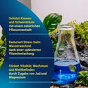 Tetra AquaSafe - 100 ml