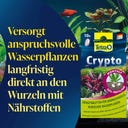 Tetra Crypto - 30 tab.