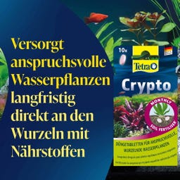 Tetra Crypto - 30 tab.