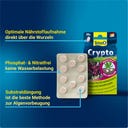 Tetra Crypto - 30 tab.