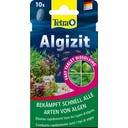 Tetra Algezit - 10 Pcs
