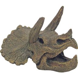 Amtra Cráneo de Triceraptos