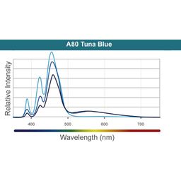 Kessil LED A80 - Tuna Blau