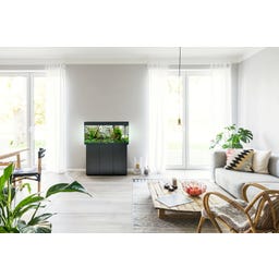 Juwel Rio 180 LED-combinatie - Zwart