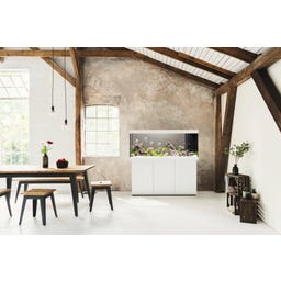 Juwel Rio 450 LED Kombination - weiß