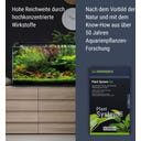 Dennerle Plant System Set - 1 Set