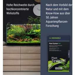 Dennerle Plant System Set - 1 Set