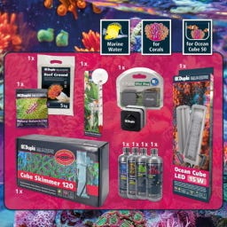 Dupla Ocean Cube Upgrade Set 50
