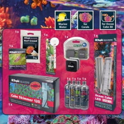 Dupla Ocean Cube Upgrade Set 80