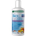 Bacto Elixir FB7, 250 ml