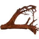 Papillon Racine de Mangrove XL (70 à 90 cm)