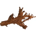Papillon Racine de Mangrove XL (70 à 90 cm)