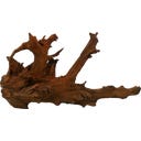 Papillon Mangrove M (25 - 35 cm)