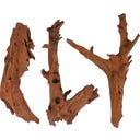 Papillon Mangrove M (25 - 35 cm)