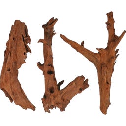 Papillon Mangrove M (25 - 35 cm)