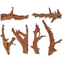 Papillon Mangrove S (15 à 25 cm)