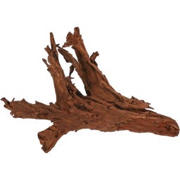 Papillon Mangroven-Wurzel Large (35-60 cm)
