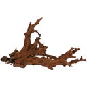 Papillon Mangroven-Wurzel Large (35-60 cm)