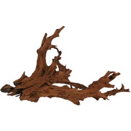 Papillon Mangroven-Wurzel Large (35-60 cm)