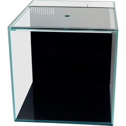 Dupla Ocean Cube 50