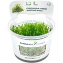 me Aquaristic Nano Vollausstattung-Set - 10L Set
