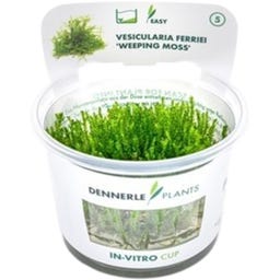 me Aquaristic Nano Vollausstattung-Set - 10L Set