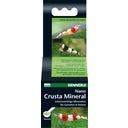 Dennerle Nano Crusta Mineral - 35 g