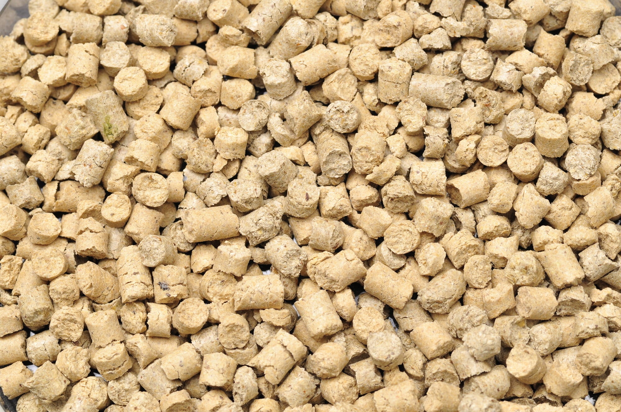 Dennerle Shrimp King Snow Pops - 40 g