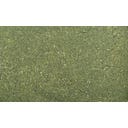 Dennerle Shrimp King Atyopsis - 35 g