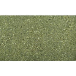 Dennerle Shrimp King Atyopsis - 35 g