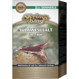 Dennerle Sol Sulawesi Shrimp King 