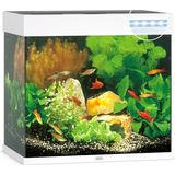 Juwel Lido 120 LED akvarij