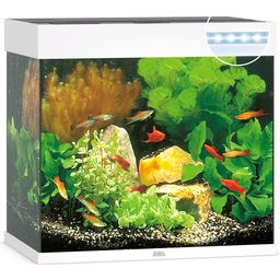 Juwel Lido 120 LED  Aquarium