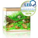 Juwel Lido 200 LED Aquarium - helles Holz