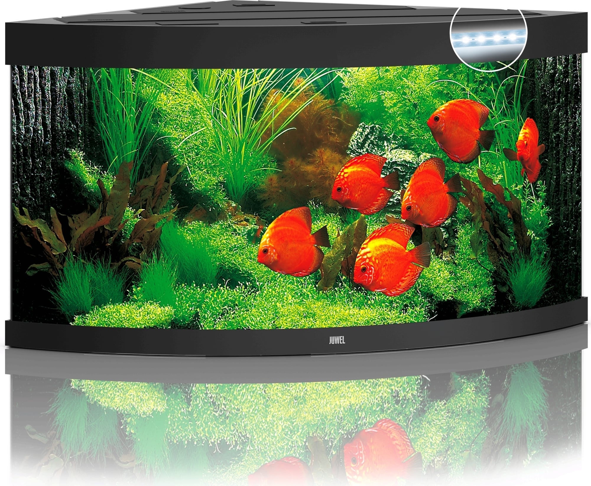 Juwel Acquario Trigon 350 LED
