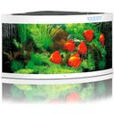 Juwel Trigon 350 LED Aquarium - wit
