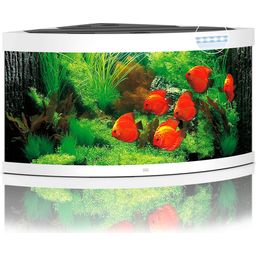 Juwel Trigon 350 LED Aquarium - weiß