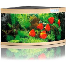 Juwel Trigon 350 LED akvárium - Világos fa