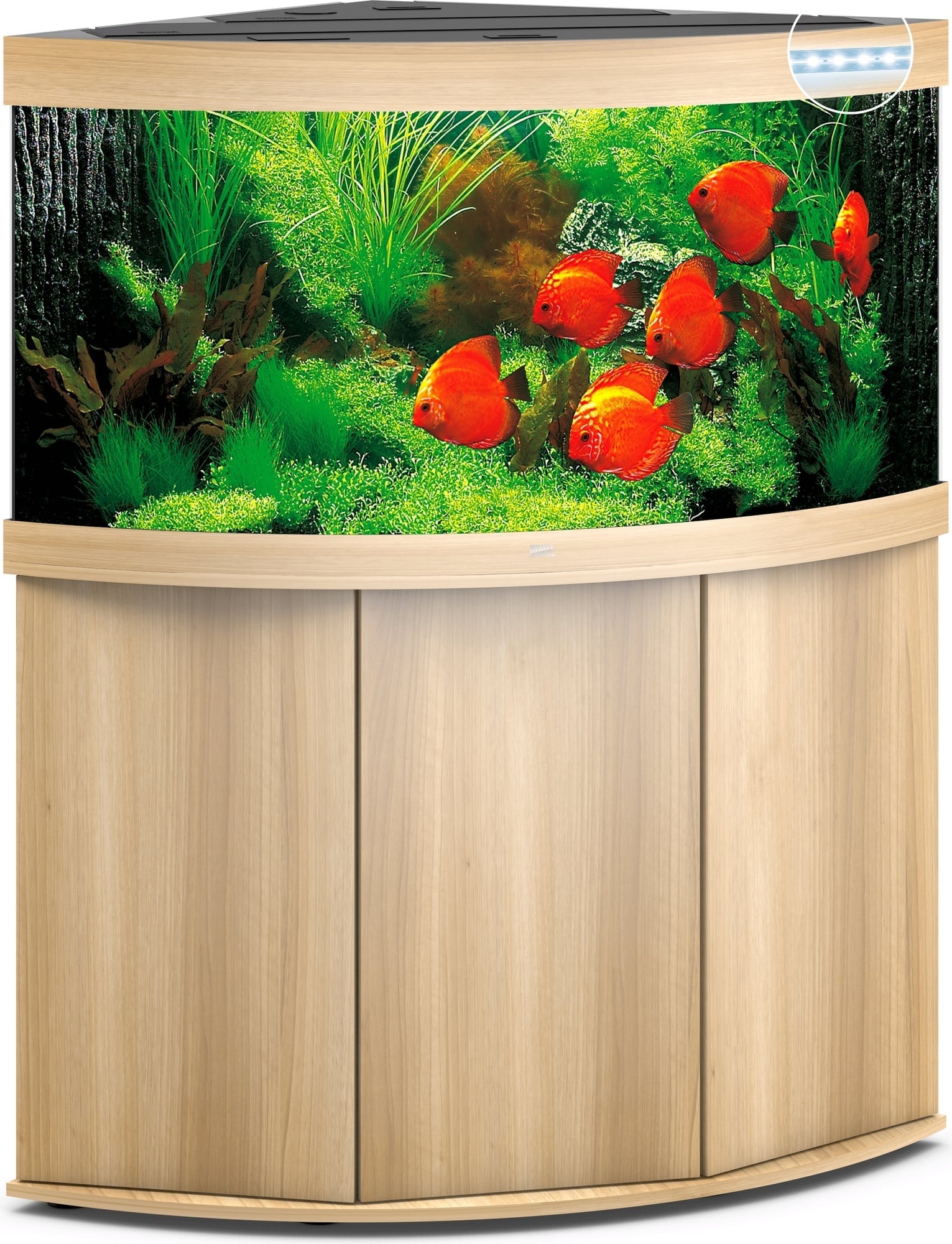 Juwel Combinazione Trigon 350 LED - legno chiaro